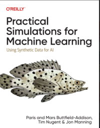 Image of Practical Simulations for Machine Learning